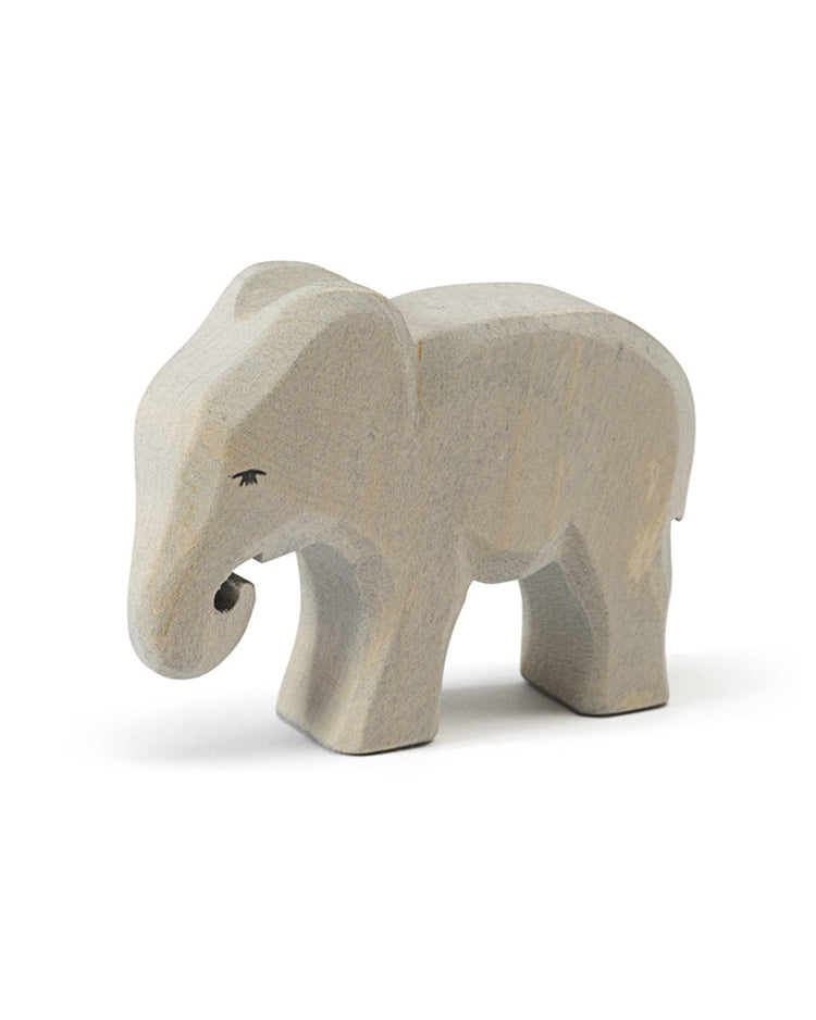Little ostheimer play elephant small eating