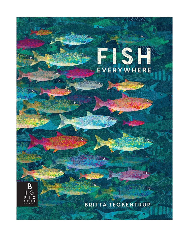 Little random house play fish everywhere