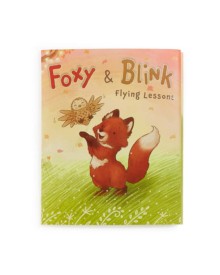 bunnies by the bay foxy + blink flying lesson story book play Little