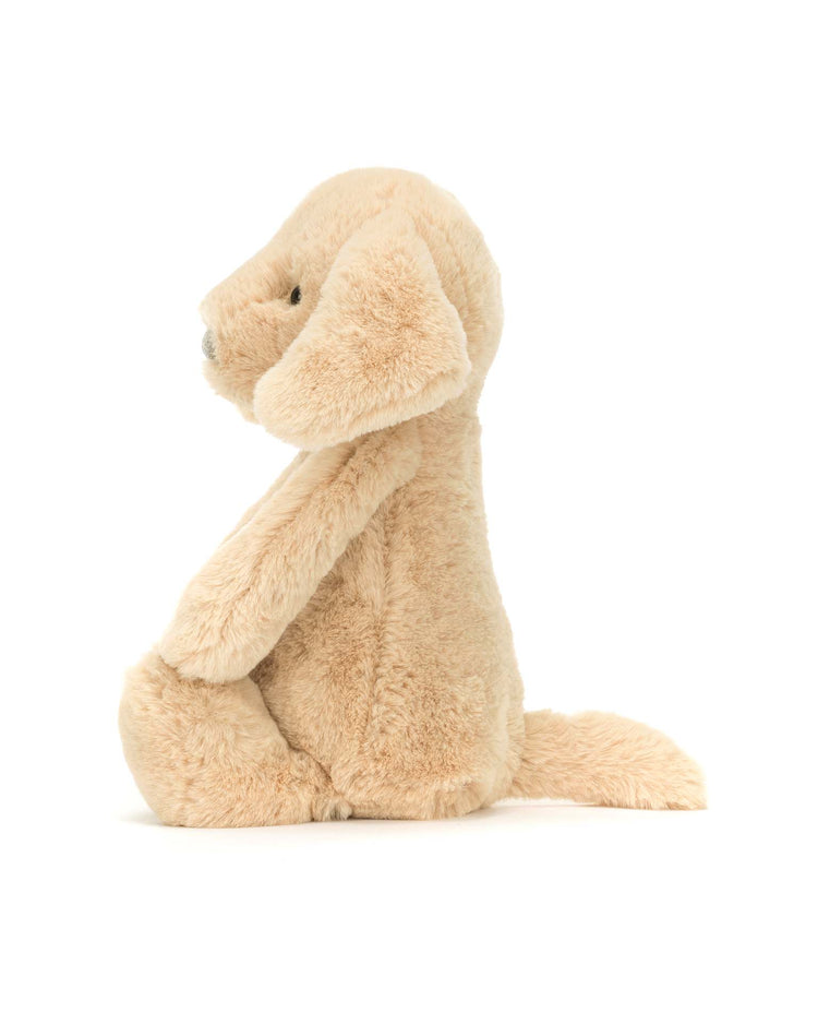 bashful luxe puppy orlando big