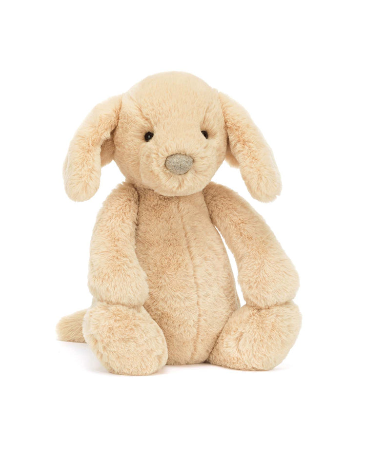 bashful luxe puppy orlando big