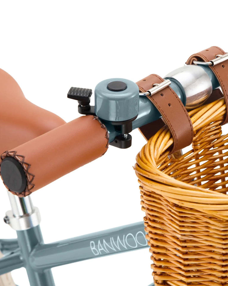 balance bike in teal