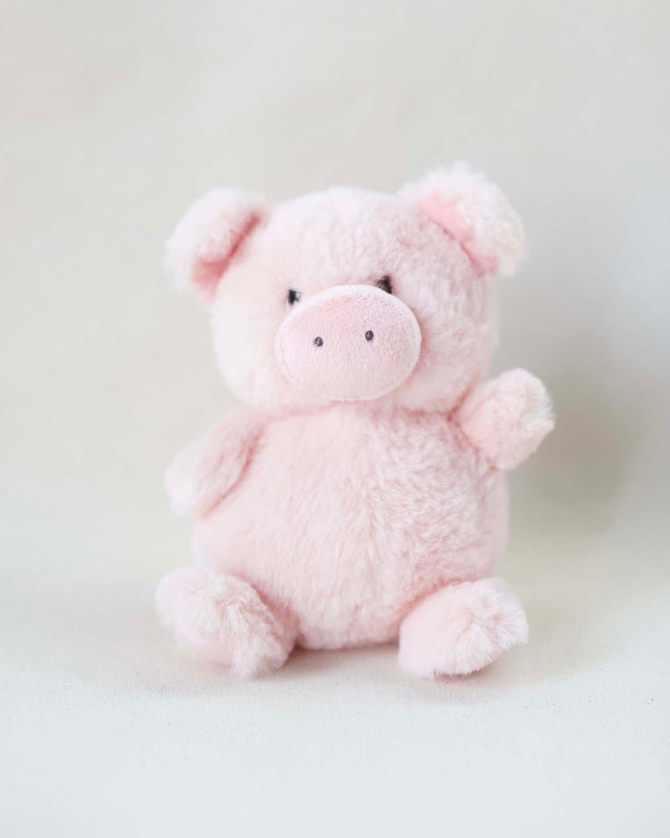 mon ami petit pig play Little