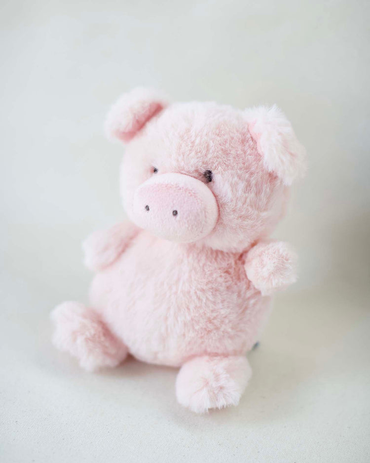 mon ami petit pig play Little