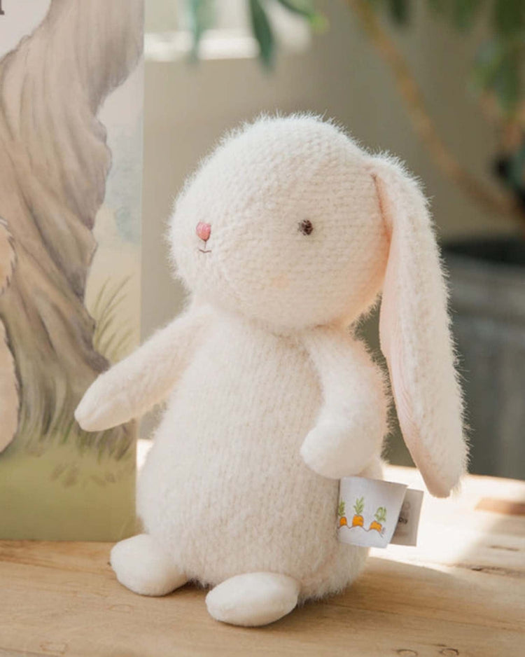 bunnies by the bay baby bun bun bunny play Little