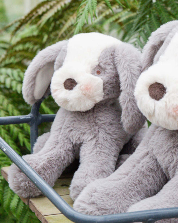 bunnies by the bay sweet floppy mutt in steel play Little