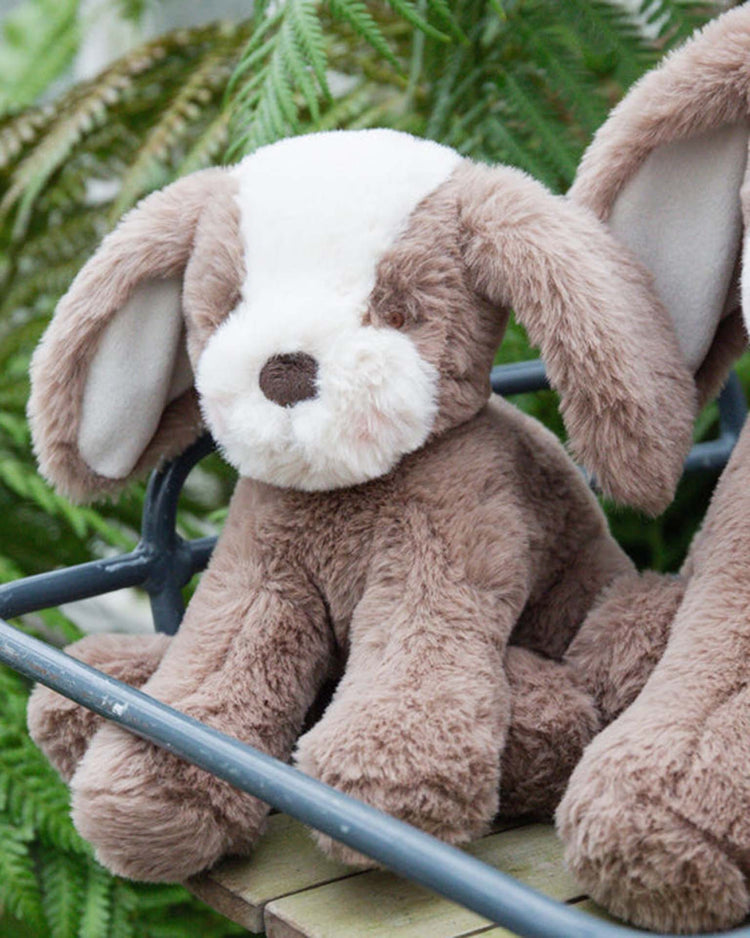 bunnies by the bay sweet floppy mutt in toffee play Little