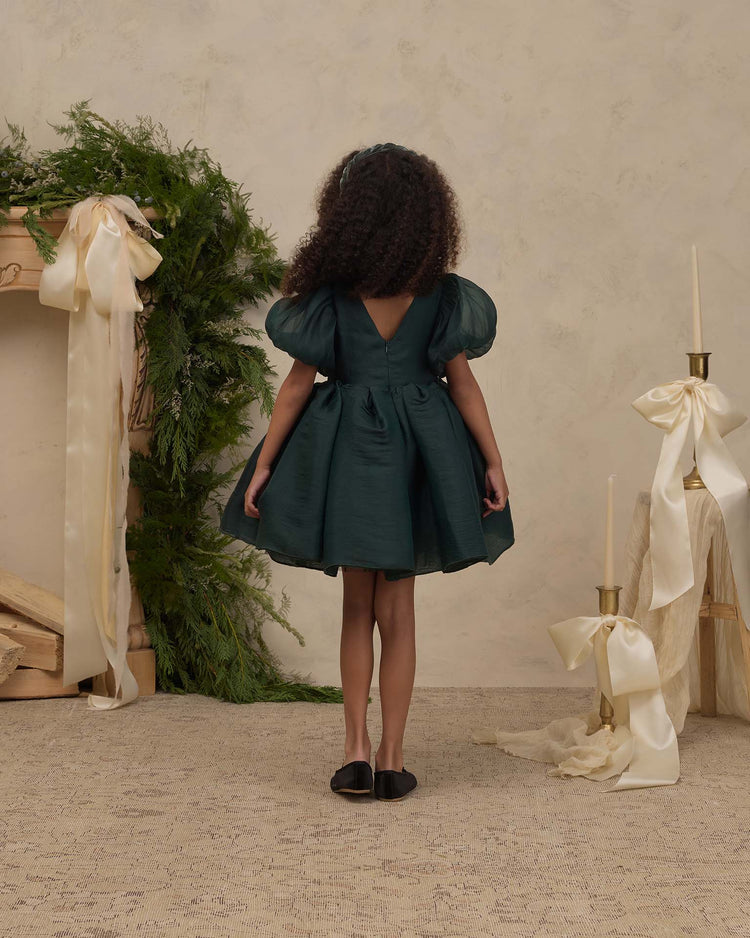 noralee sofia dress in green shimmer kids Little