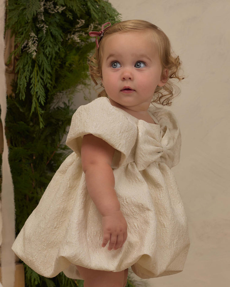 noralee bonnie dress in jacquard kids Little
