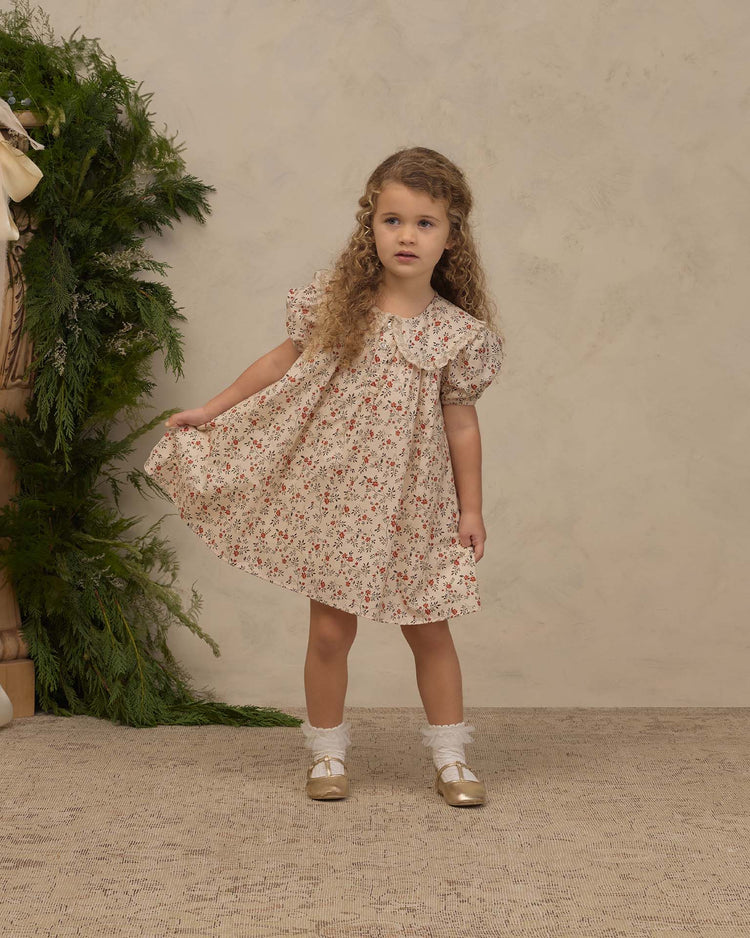 noralee lori dress in holly vines kids Little