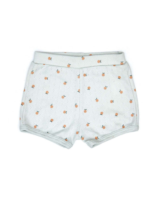 pointelle short in light blue little oranges