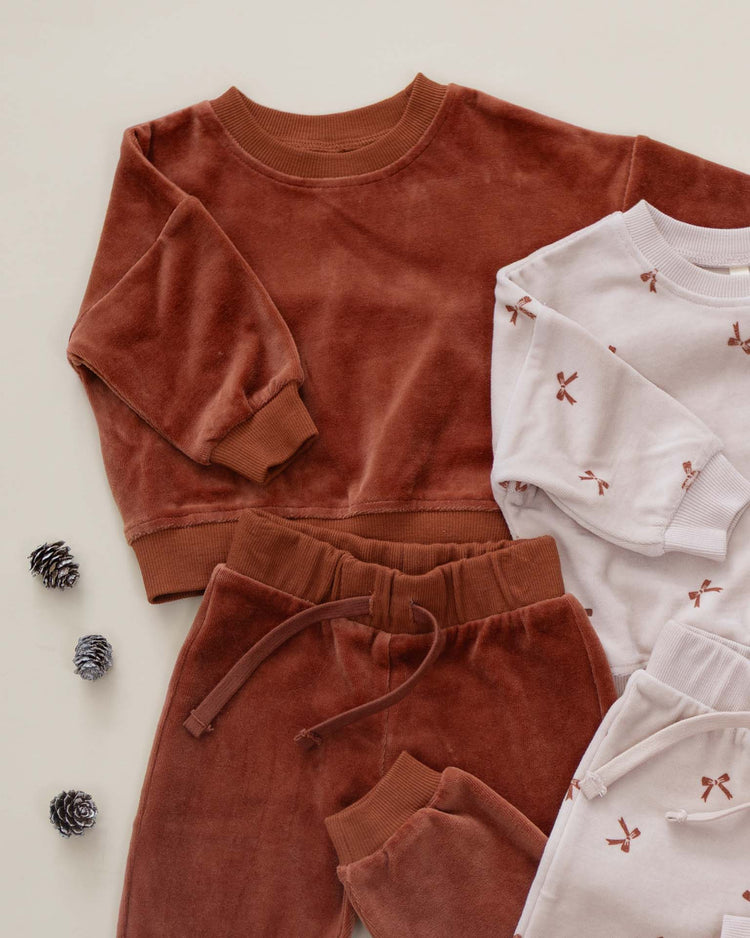 velour relaxed sweatshirt in redwood