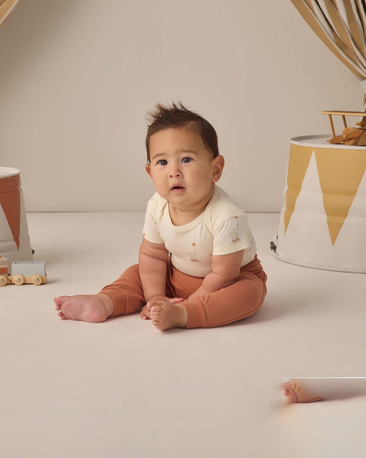 quincy mae short sleeve bodysuit pack in carnival + honey stripe baby Little