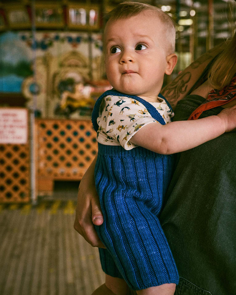 misha + puff baby rib shorties in blue ribbon baby Little