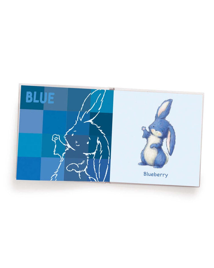 Little bunnies by the bay play my book of colors