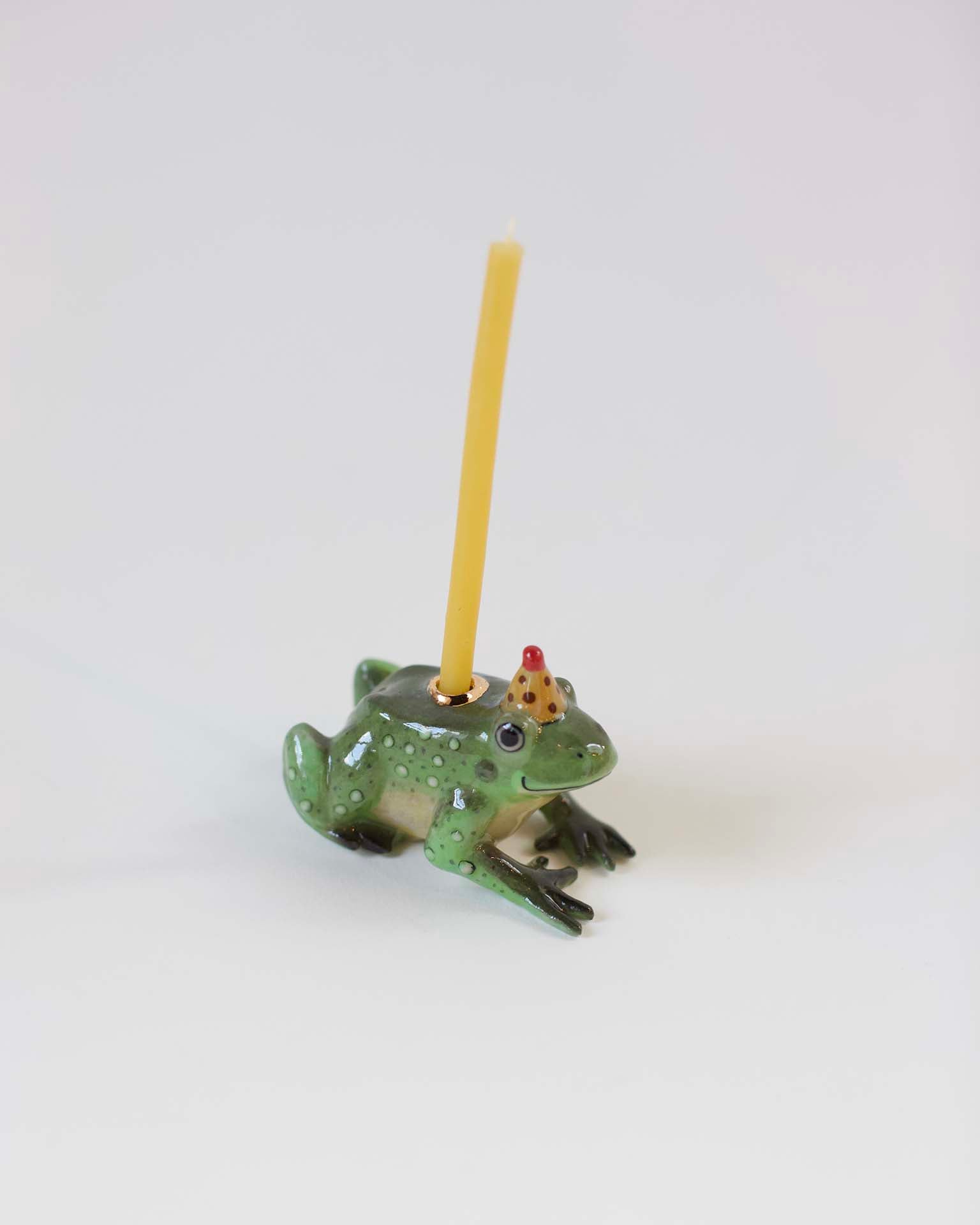 Little camp hollow paper + party charming frog cake topper in box