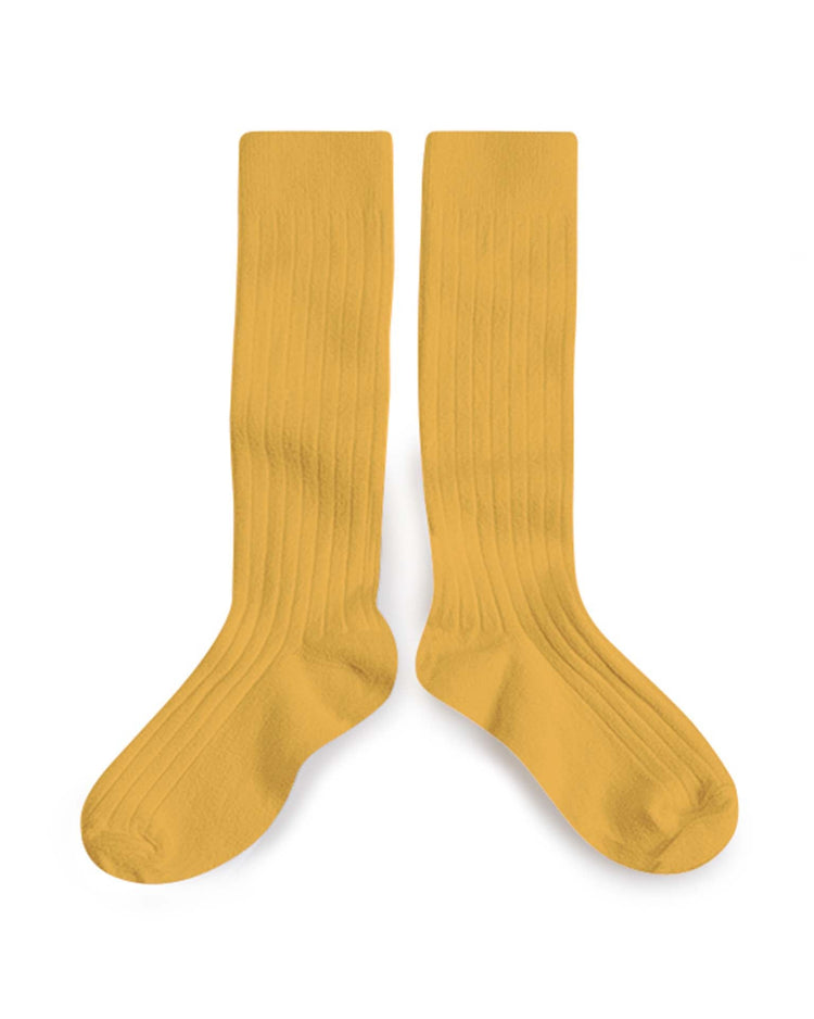 Little collegien accessories le haute knee socks in camomille