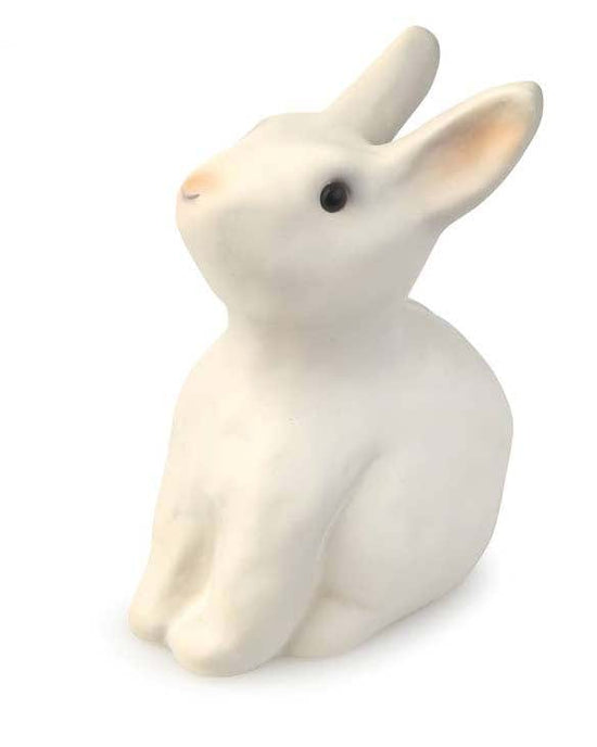 Little egmont home rabbit savings bank