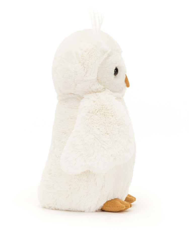 Little jellycat play bashful owl