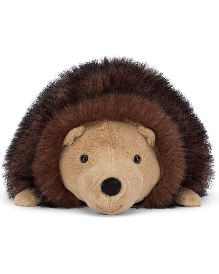 Little jellycat play hamish hedgehog