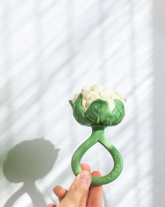 Little oli + carol baby accessories cauliflower rattle toy
