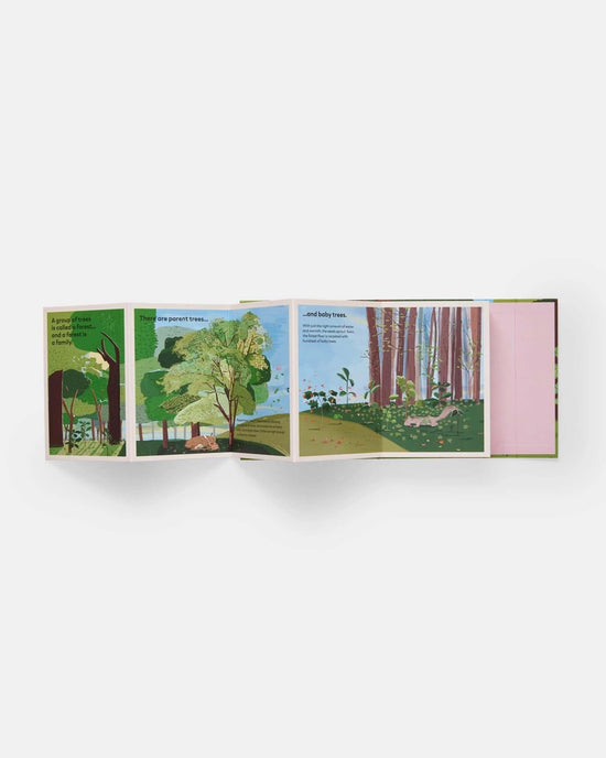 Little phaidon play family of trees: my first book of forests