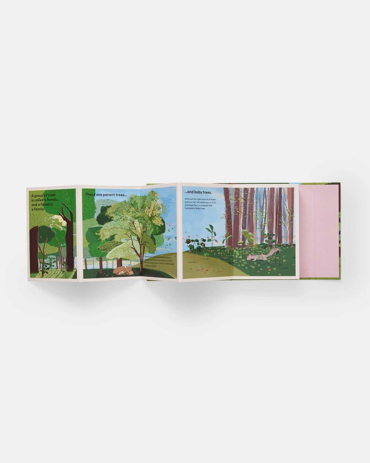 Little phaidon play family of trees: my first book of forests
