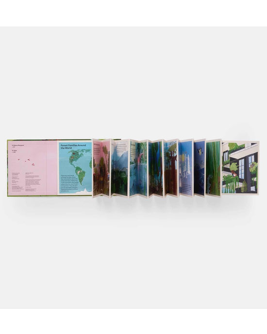 Little phaidon play family of trees: my first book of forests