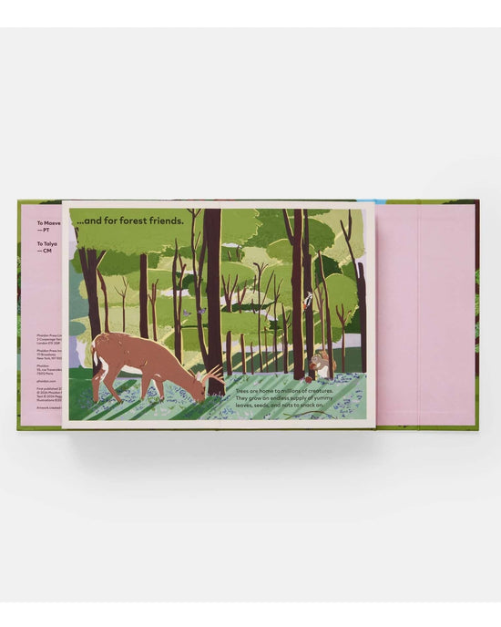 Little phaidon play family of trees: my first book of forests