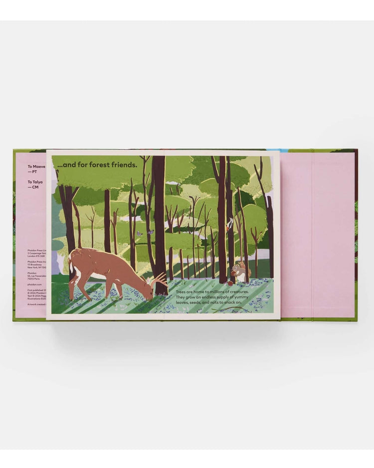 Little phaidon play family of trees: my first book of forests