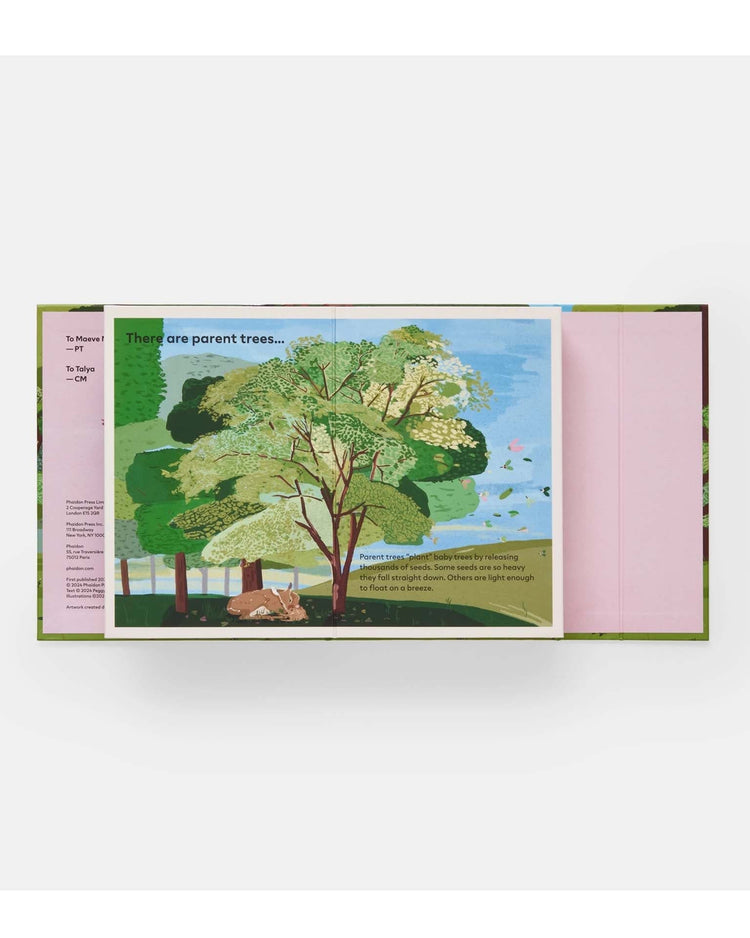 Little phaidon play family of trees: my first book of forests