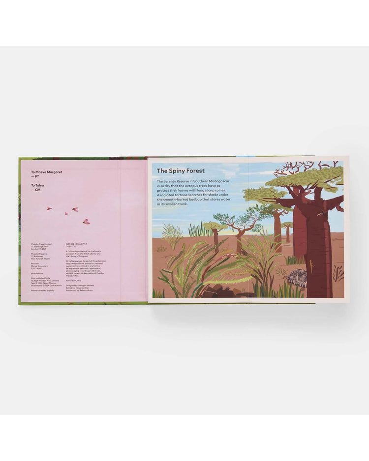 Little phaidon play family of trees: my first book of forests