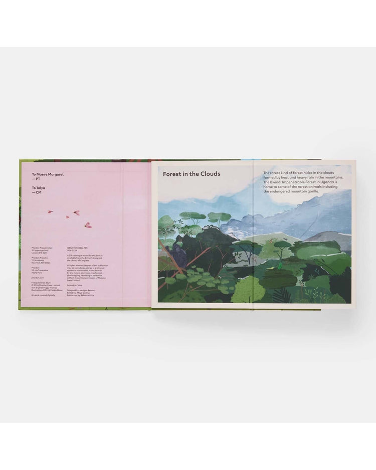 Little phaidon play family of trees: my first book of forests