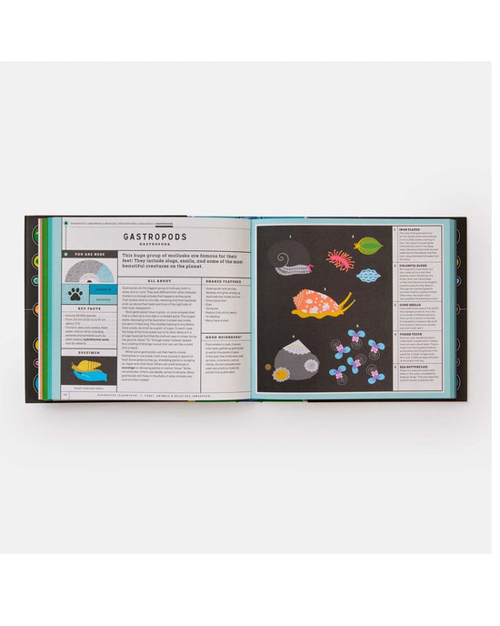 Little phaidon play full of life