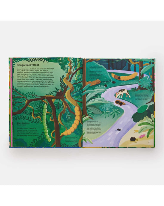 Little phaidon play home for every plant: wonders of the botanical world