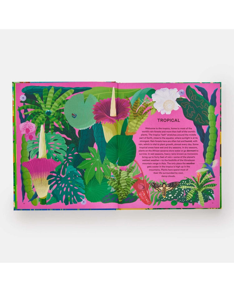Little phaidon play home for every plant: wonders of the botanical world