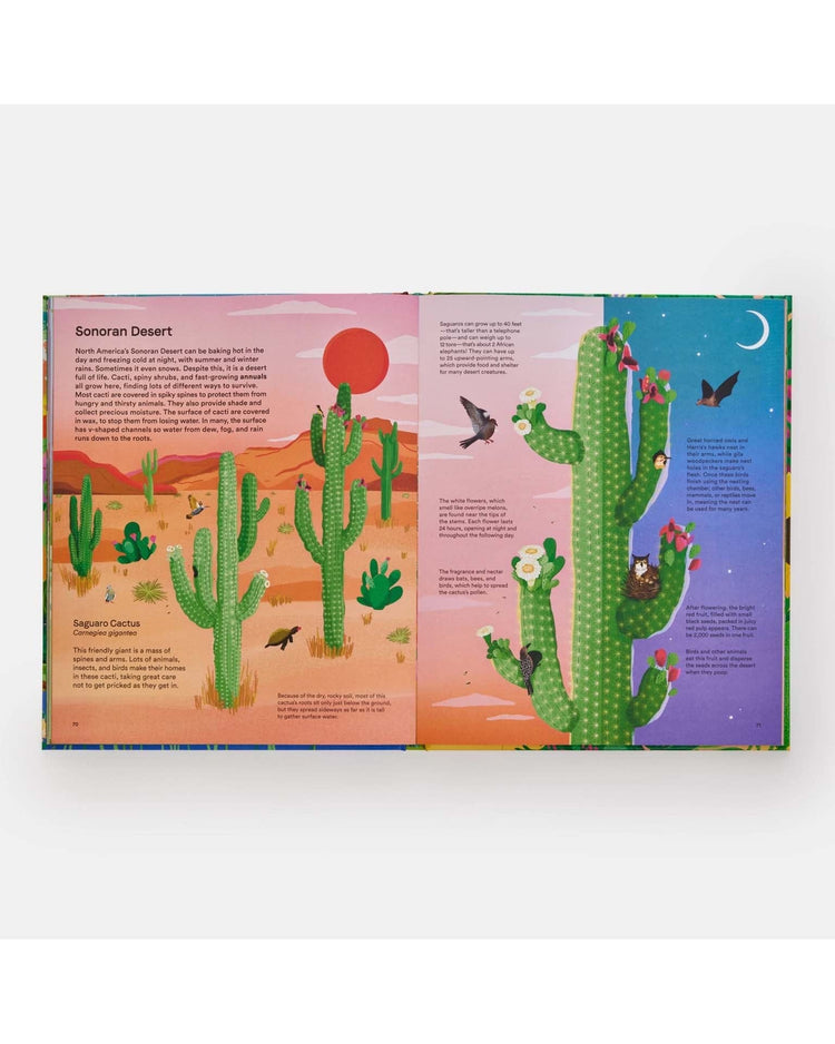 Little phaidon play home for every plant: wonders of the botanical world