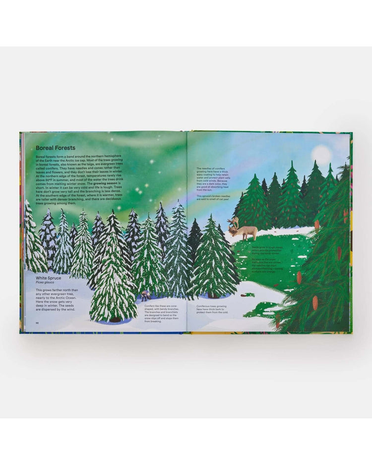 Little phaidon play home for every plant: wonders of the botanical world
