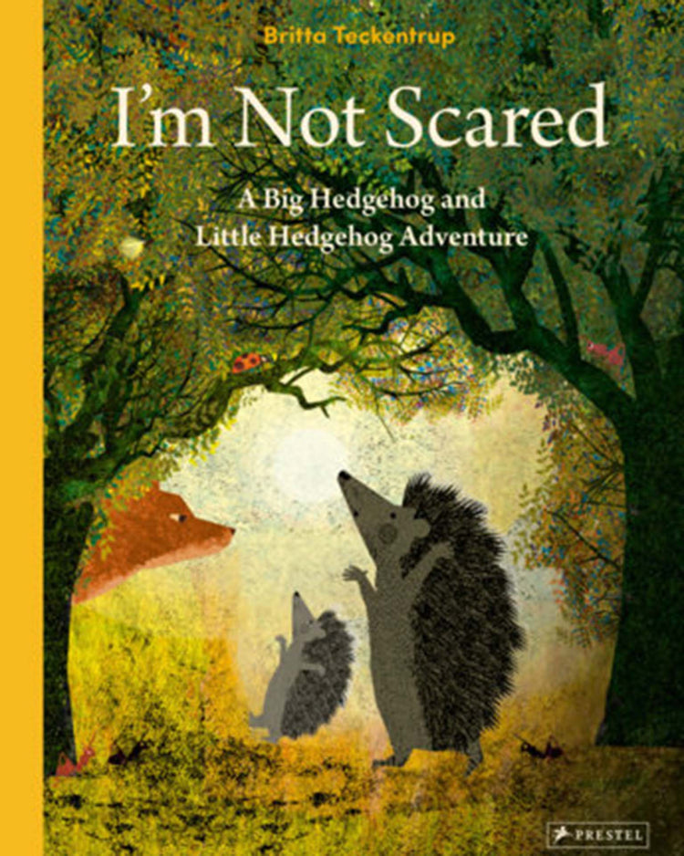 Little random house play i'm not scared