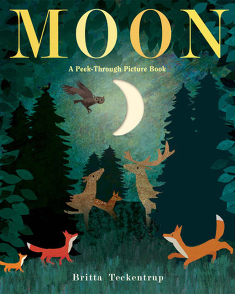 Little random house play moon: a peek-through picture book