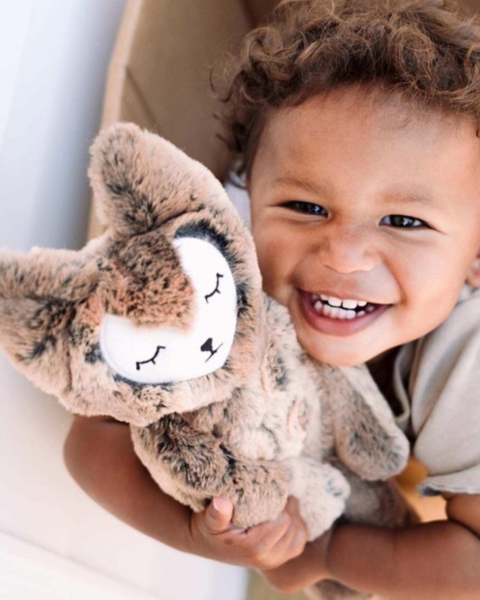 fox kin + lesson book - family change – Little