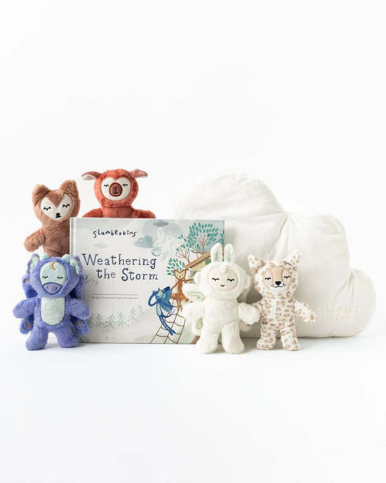 Little slumberkins play weathering the storm pillow set