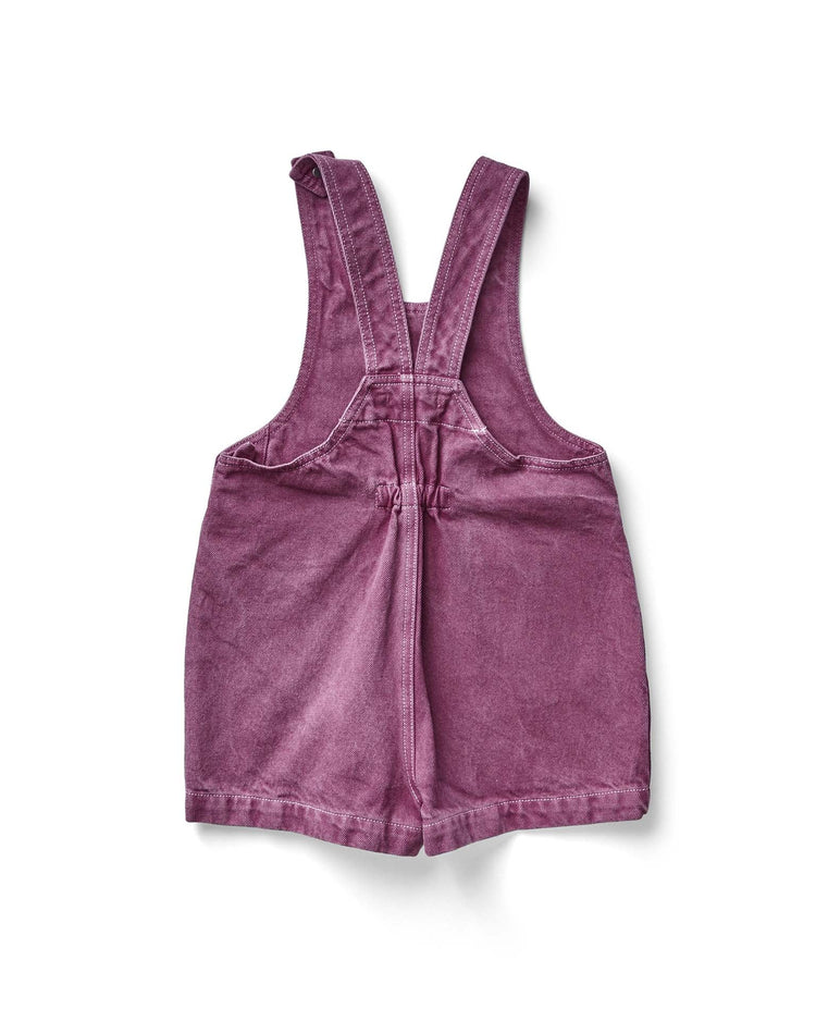 soor ploom delphine shortall in zinnia at Little