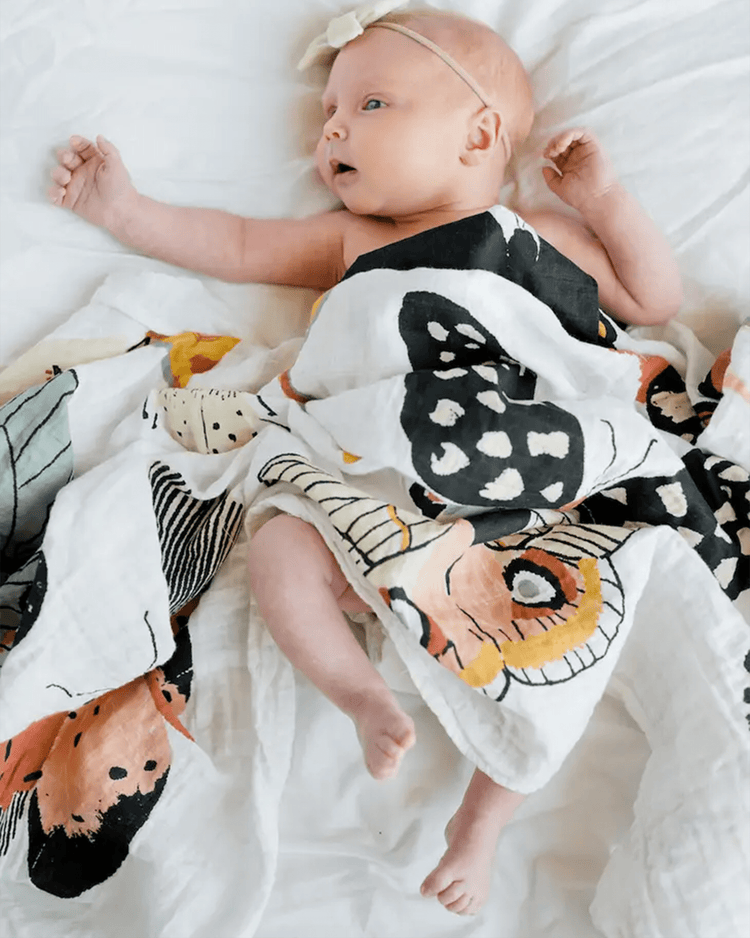 Little clementine kids room butterfly collector swaddle