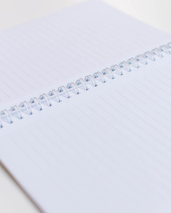 clementine notebook