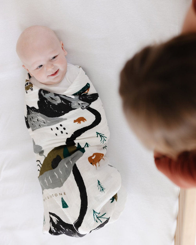 Little clementine kids baby accessories national parks swaddle
