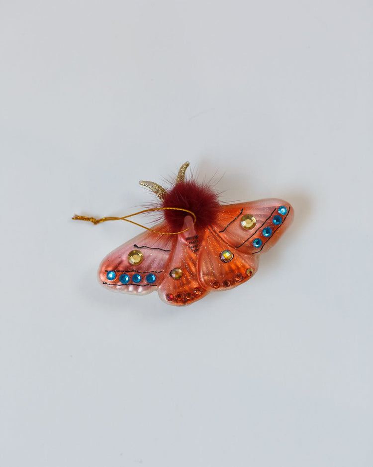 Little cody foster room brown woodland moth