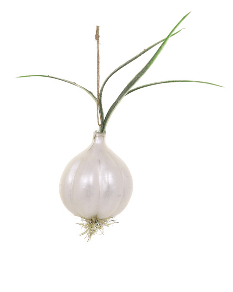 Little cody foster room farmhouse onion ornament