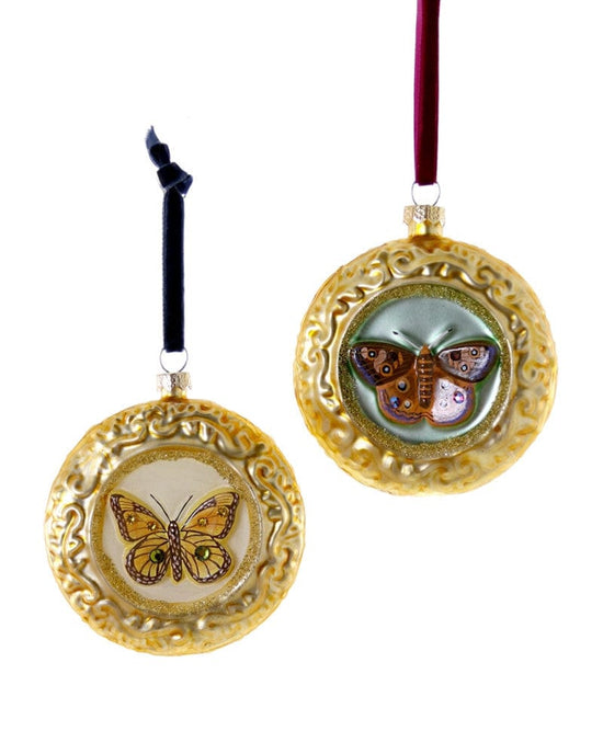 Little cody foster room framed butterfly ornament