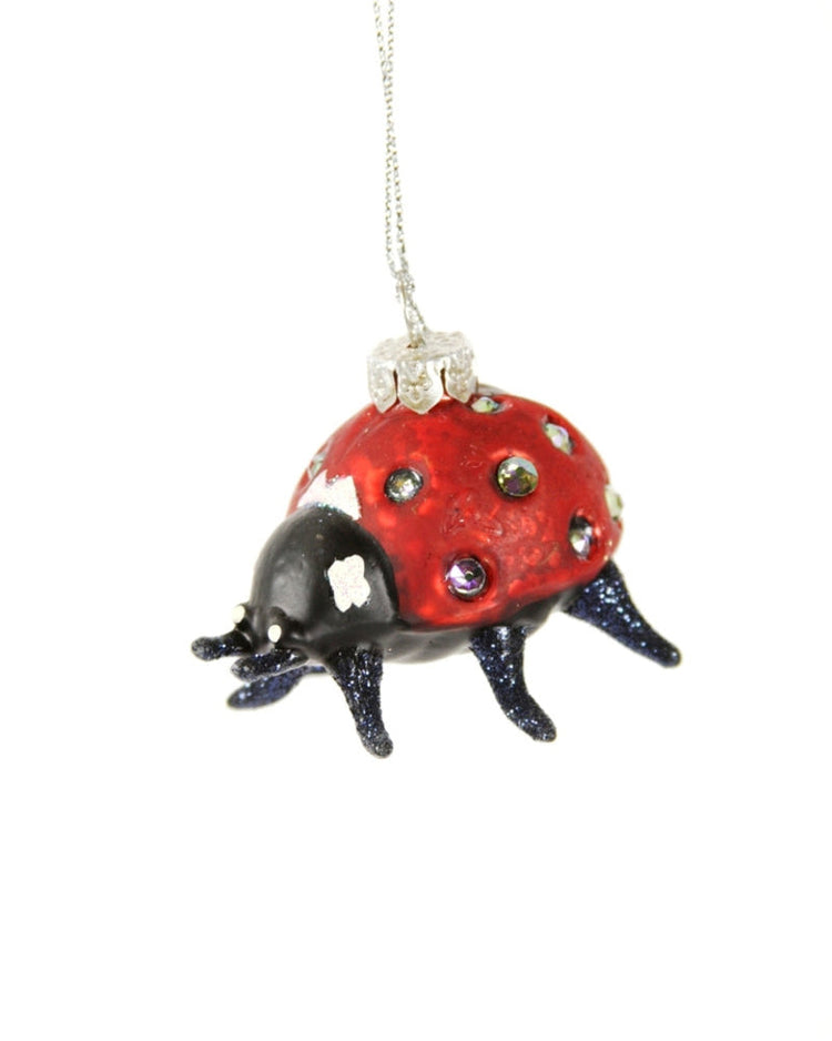 Little cody foster room jewel ladybug ornament